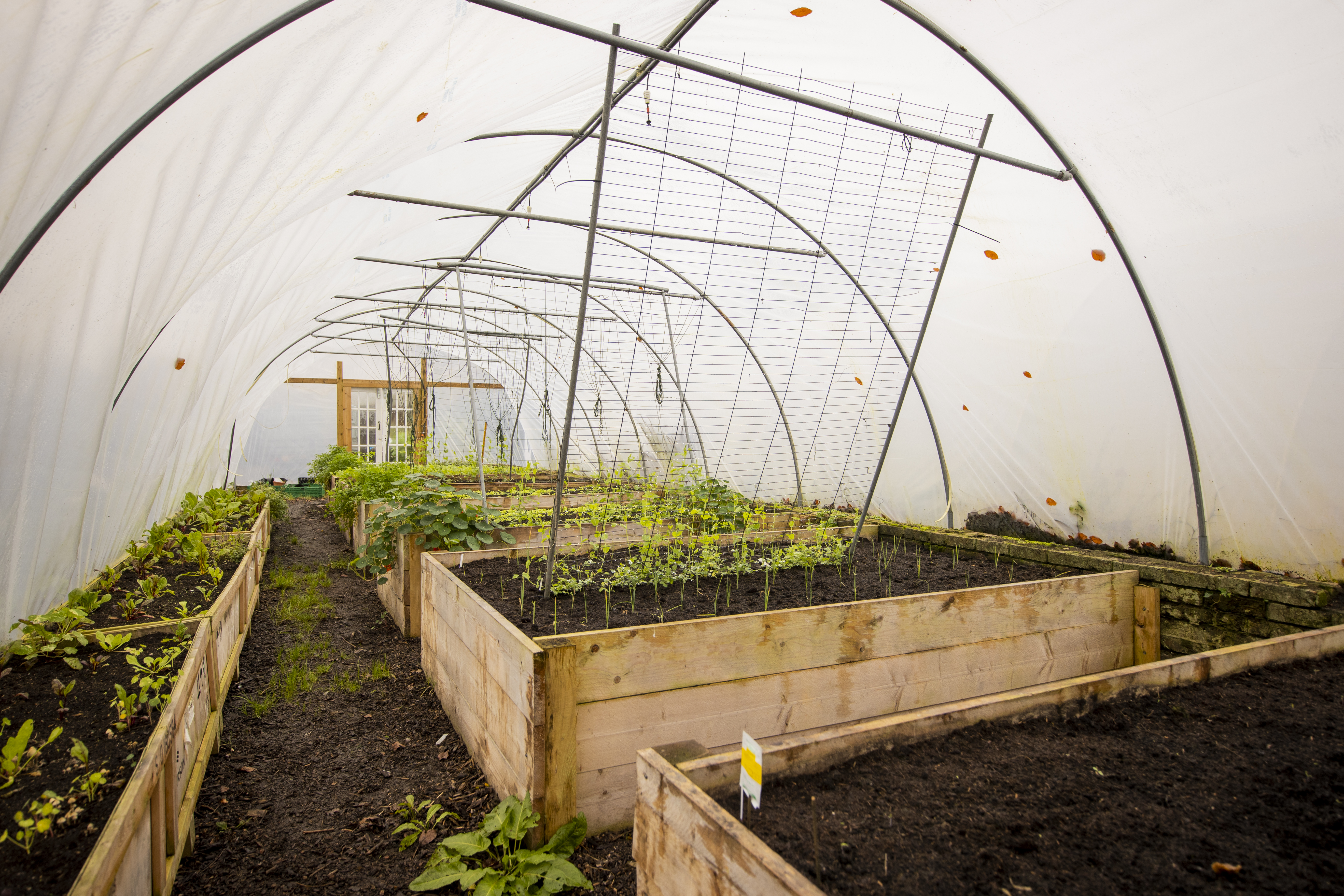 Full Circle Farms 