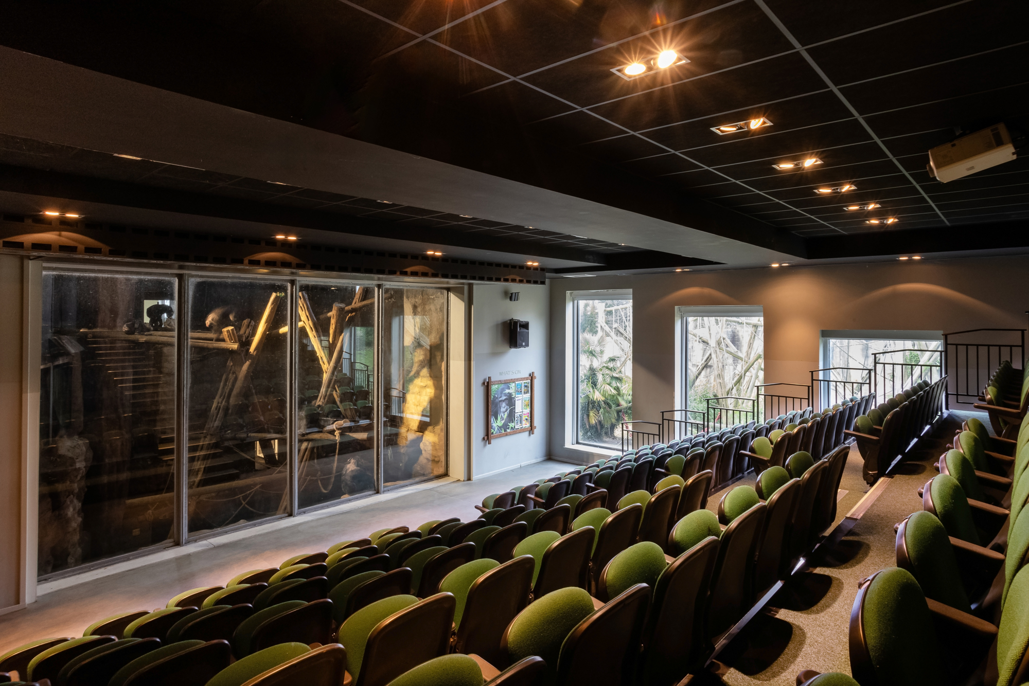 Interior shot of a conference room at Edinburgh Zoo