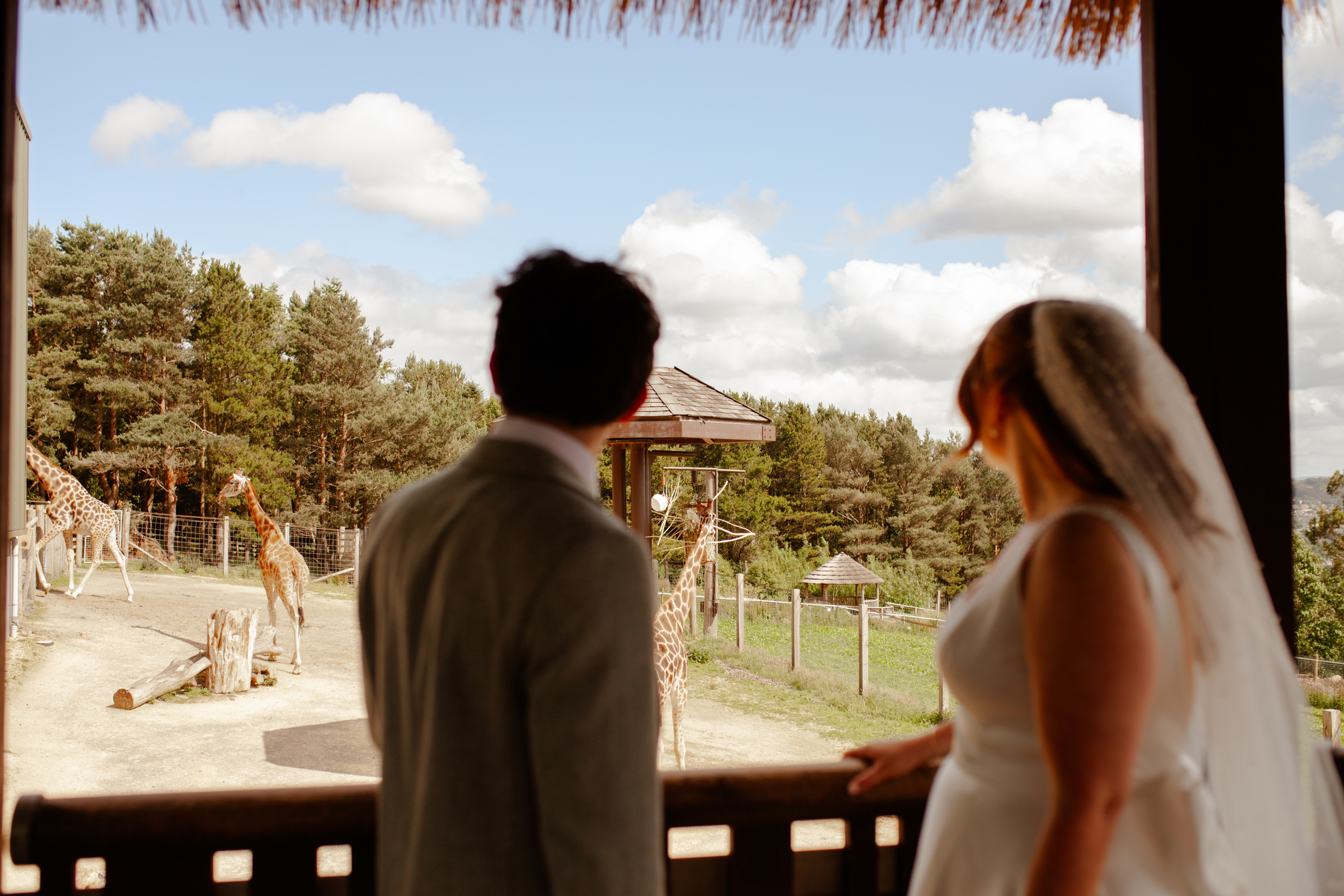 Couple on their wedding day at Edinburgh Zoo