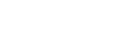 Stadium Experience
