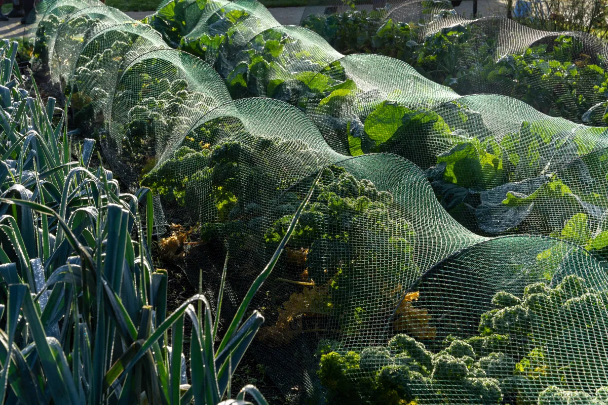 Sustainability Image