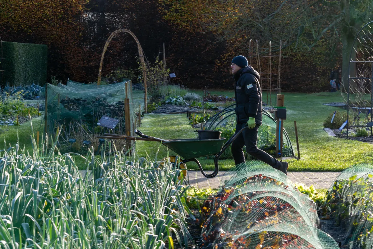 Sustainability Image