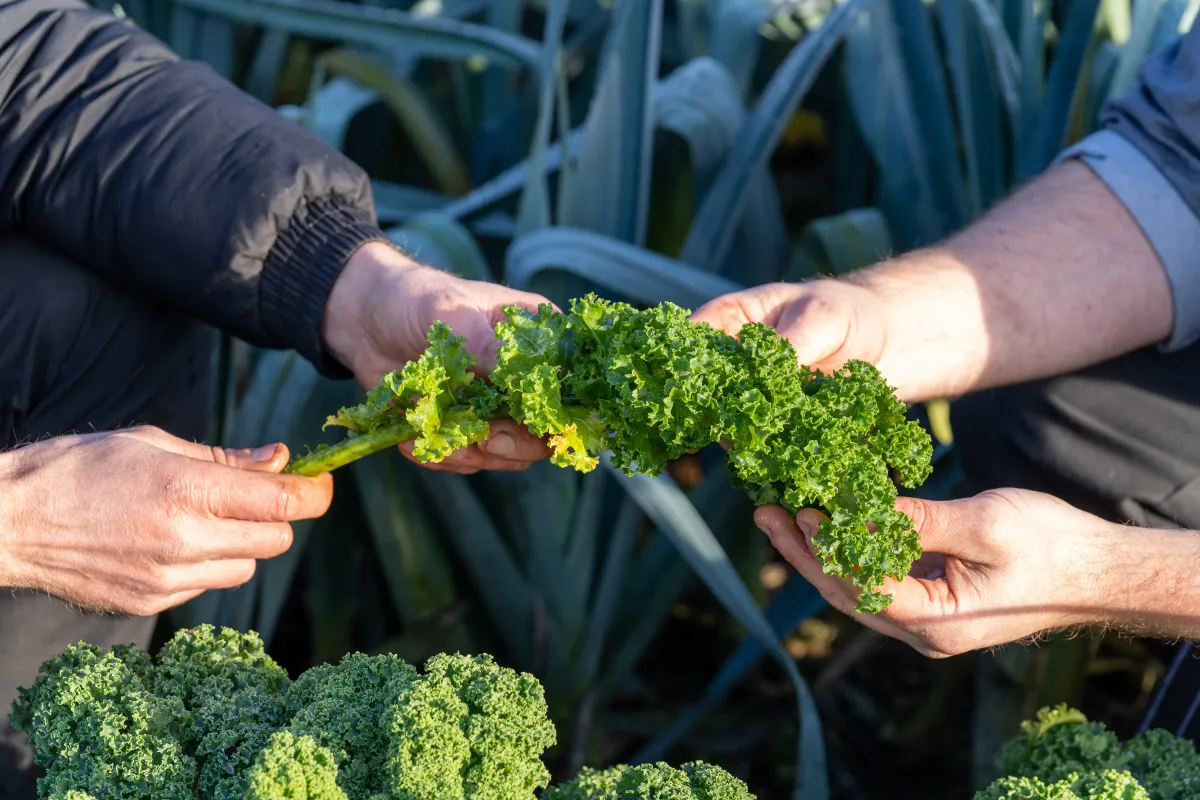 Sustainability Image