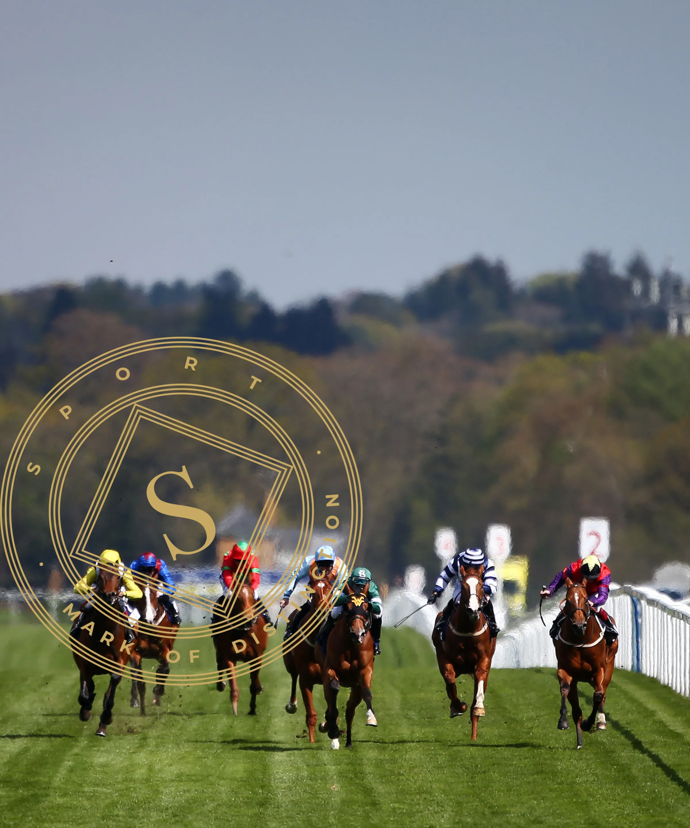 Ascot's Sporting Legend
