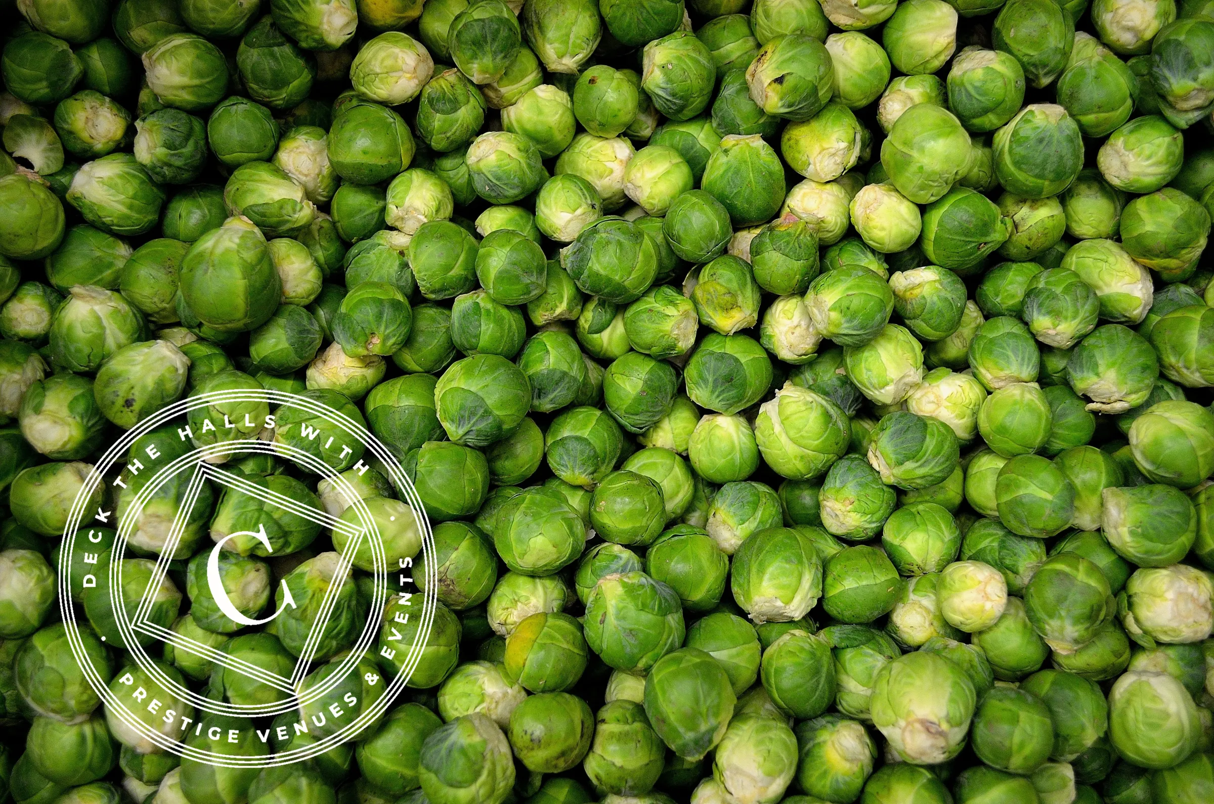 Sprouts