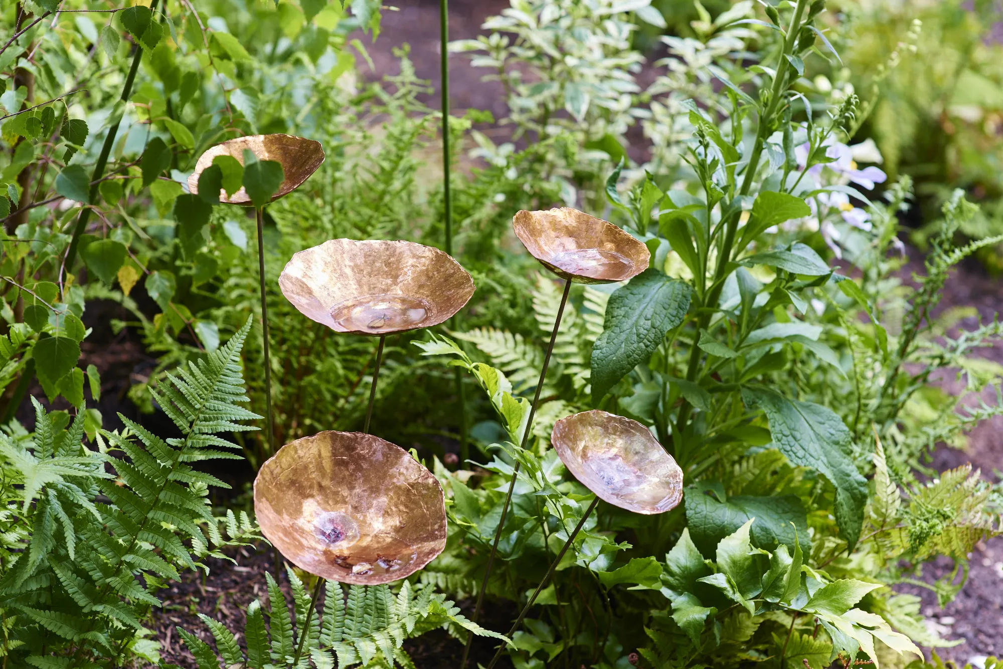 Jardin Blanc