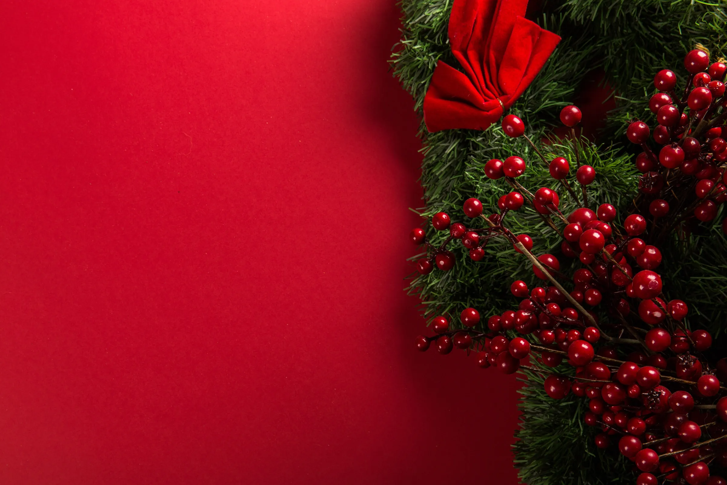 Mistletoe on red background