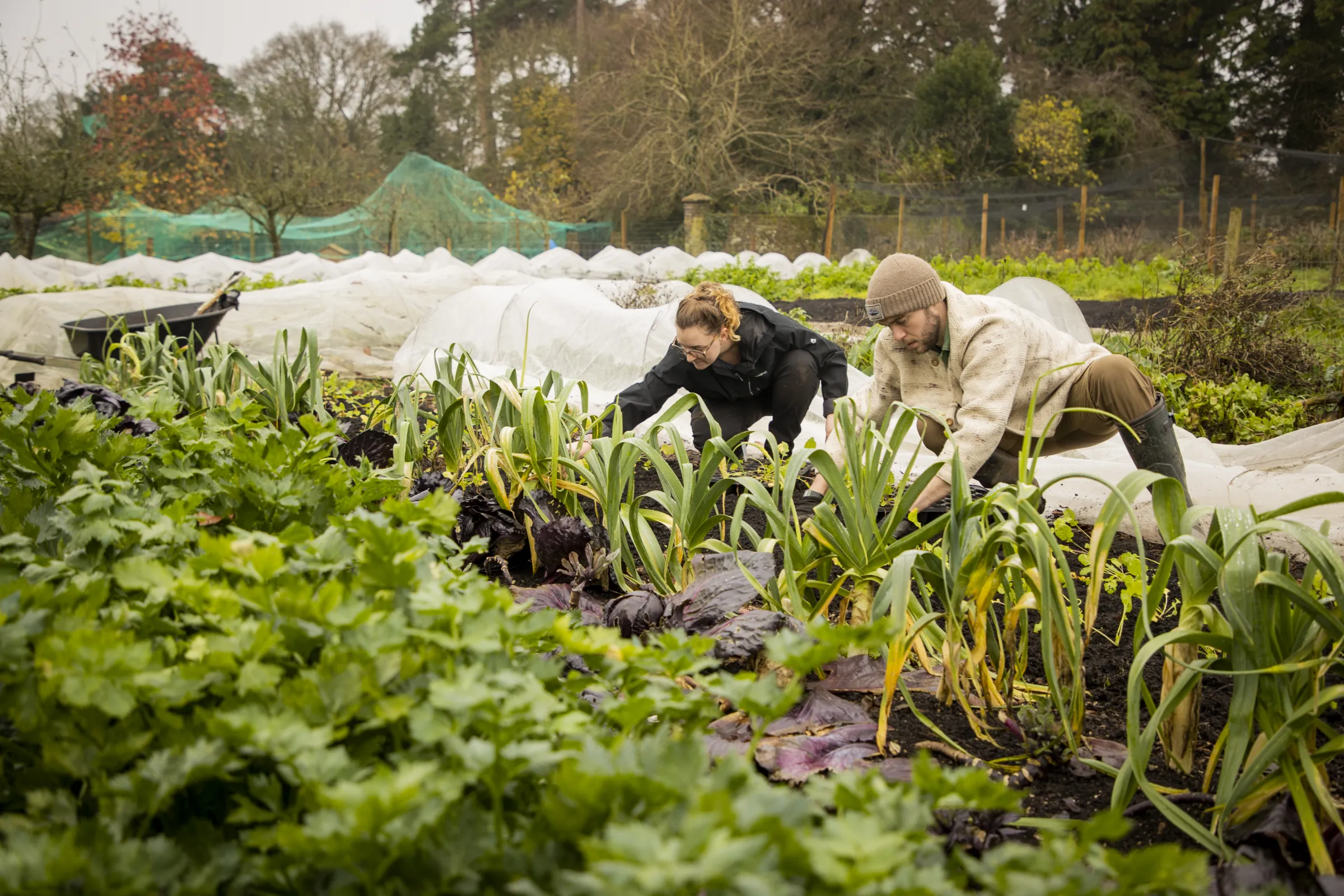 full circle farms