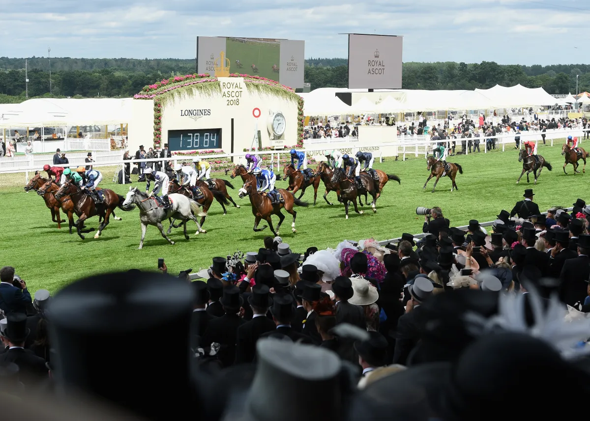 Ascot 