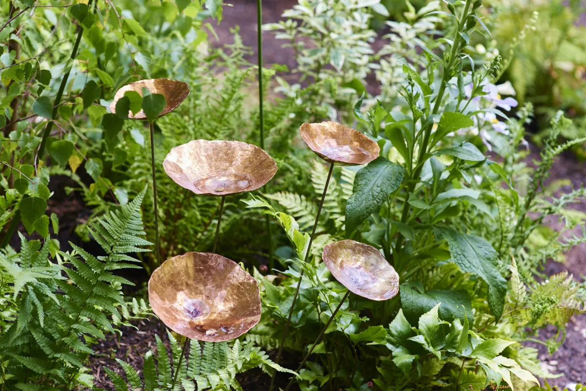 Jardin Blanc