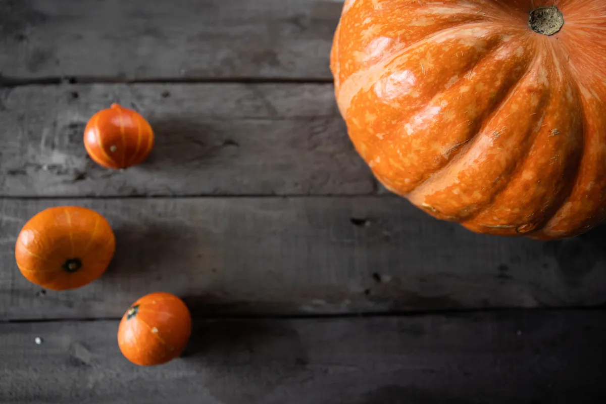 Pumpkin Pie – Thanksgiving dessert recipe  