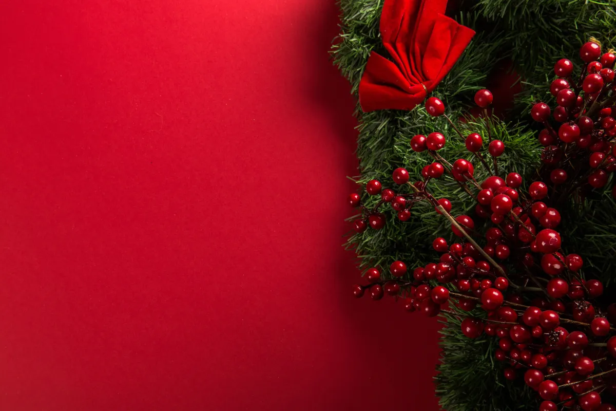 Mistletoe on red background