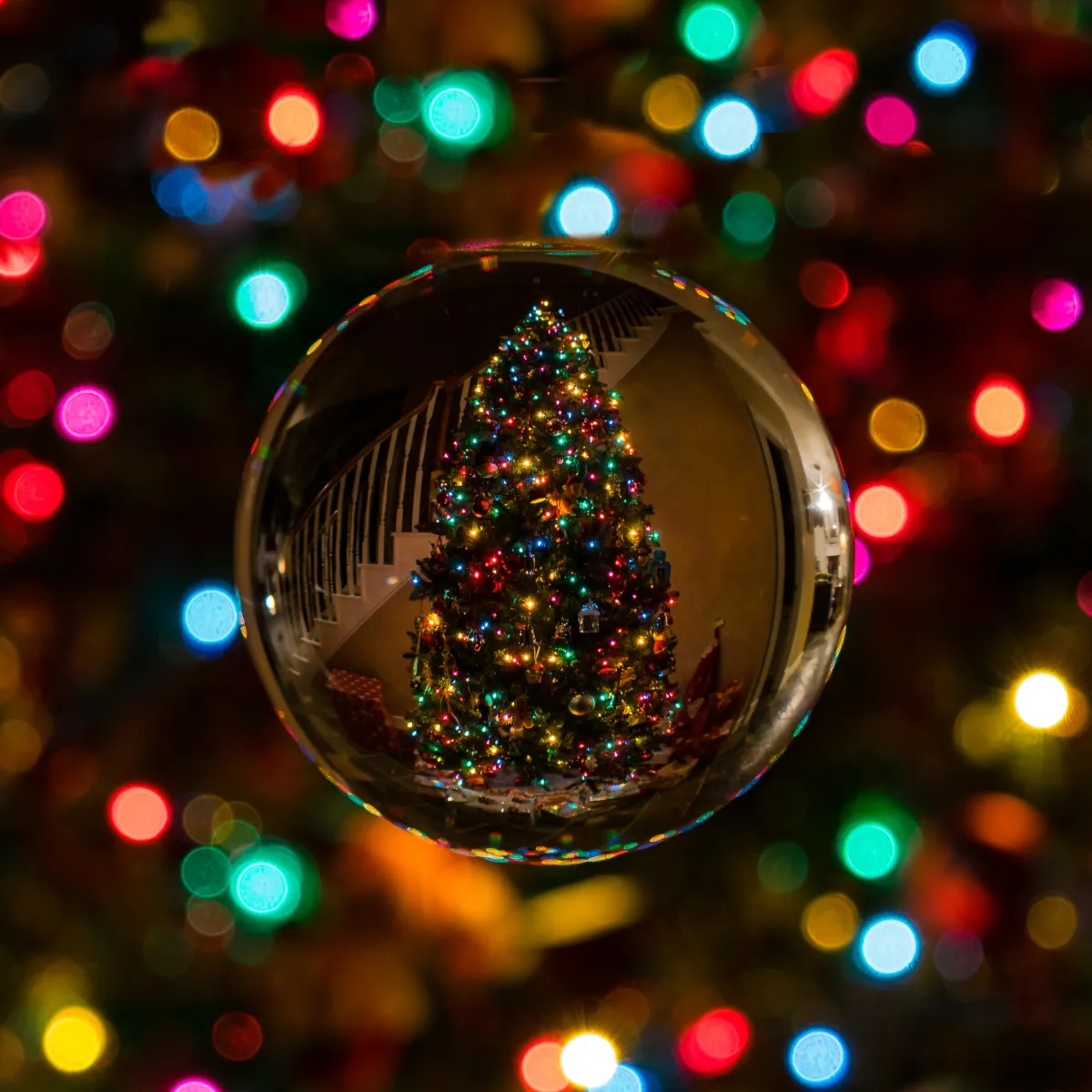 Christmas tree and lights