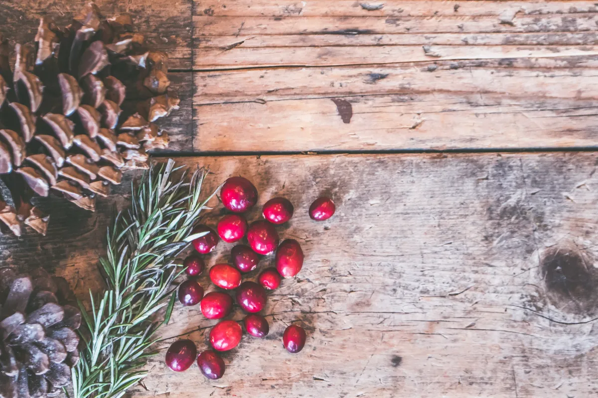 vegetarian starter recipe for Christmas 