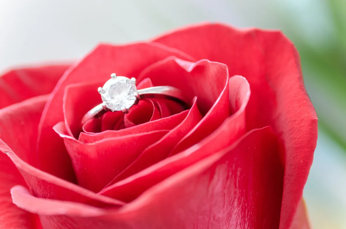 engagement_ring_inside_rose