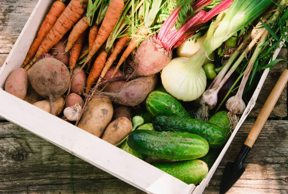 Food Waste Action Week