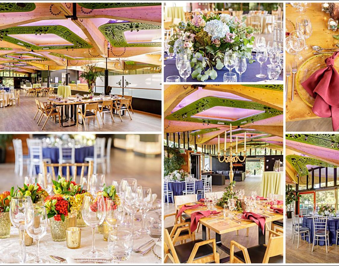 Royal Botanic Garden Edinburgh wedding 